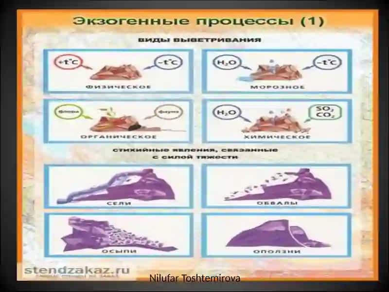 Tabiiy geografik zonalardagi tabiiy o'zgarishlar va farqli holatlar 4
