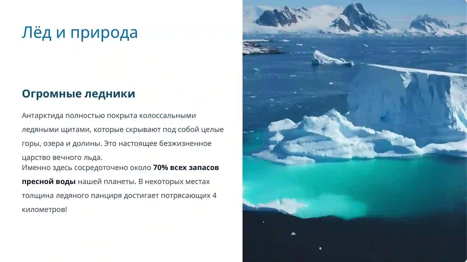 Слайд Презентация на тему: Антарктида 4