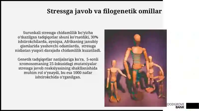 Inson Rivojlanishidagi Filogenetik Kamchiliklar 4