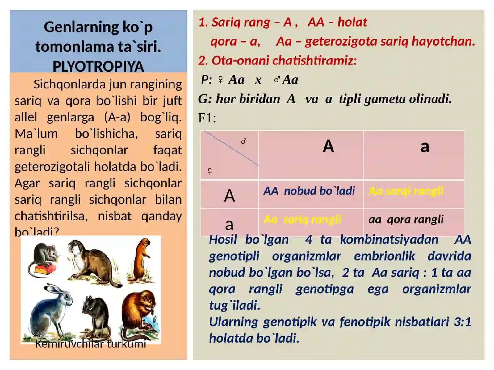 Genlarning ko`p tomonlama ta`siri. PLYOTROPIYA 4