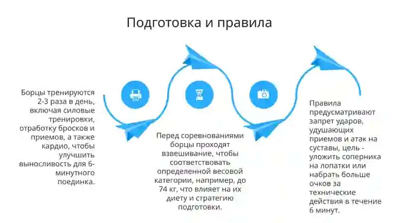 История и стили борьбы 4