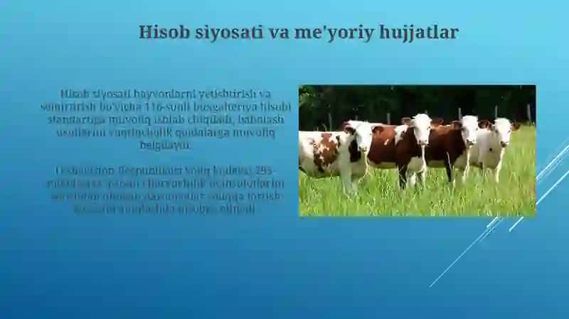 O‘stirishdagi va bo‘quvdagi hayvonlarni hisobga olishni tekshirish 4