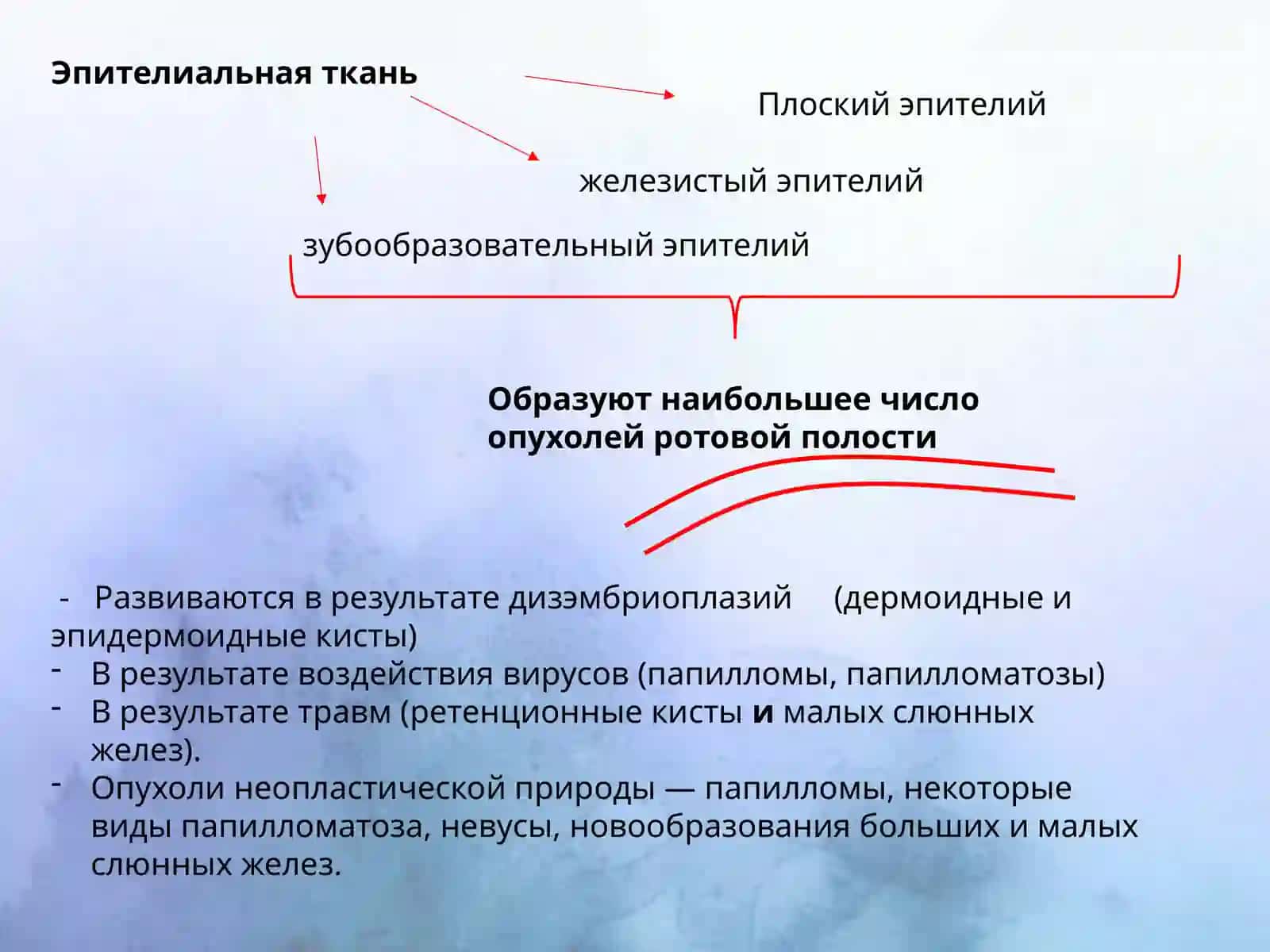 Доброкачественные новообразования кожи, губ и слизистой оболочки полости рта 4