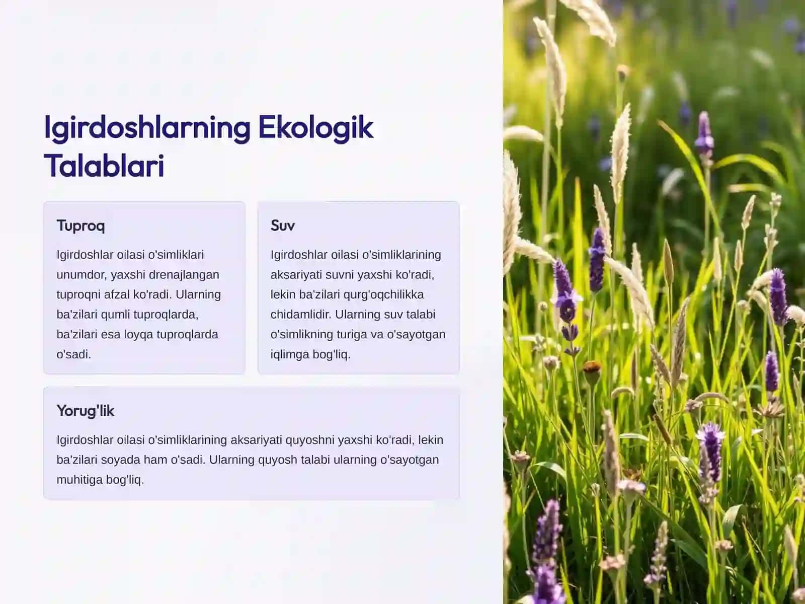Igirdoshlar Oilasi: Biologiya, Ekologiya va Ahamiyati 4