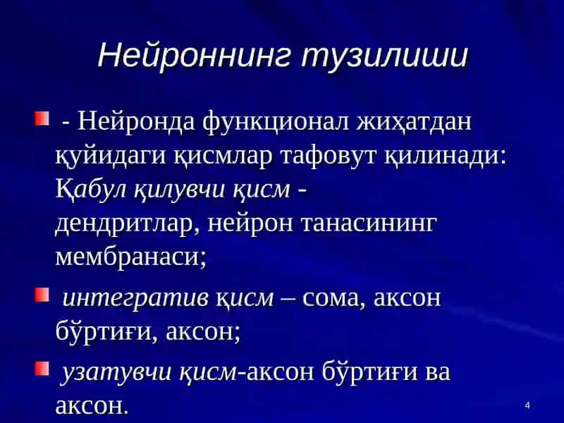 Марказий нерв тизими умумий физиологияси 4