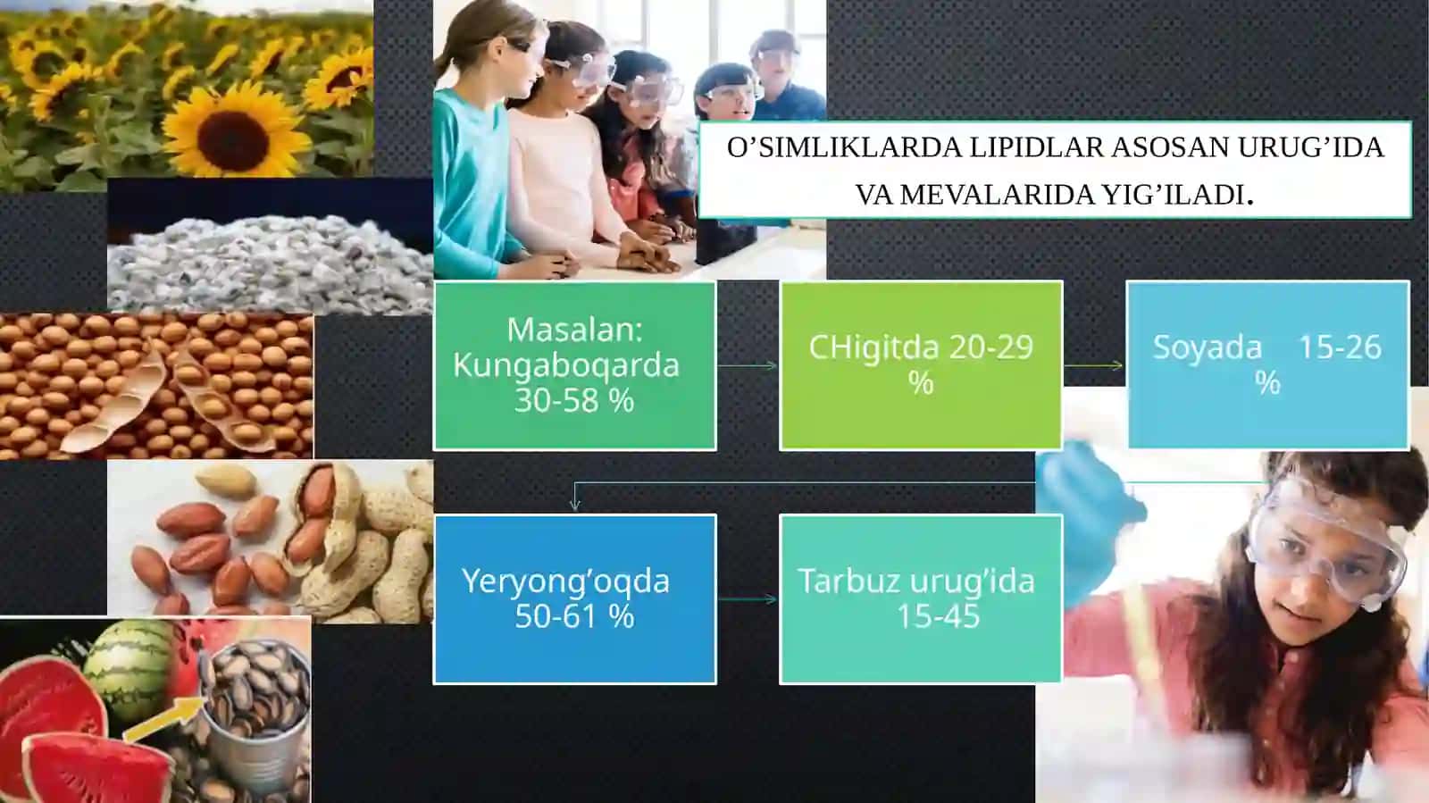 Oziq-ovqat lipidlari(Yog’lar va moylar)vaularningxususiyatlari 4