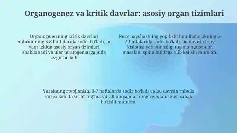 Odam embriologiyasi qaltis davrlari 4
