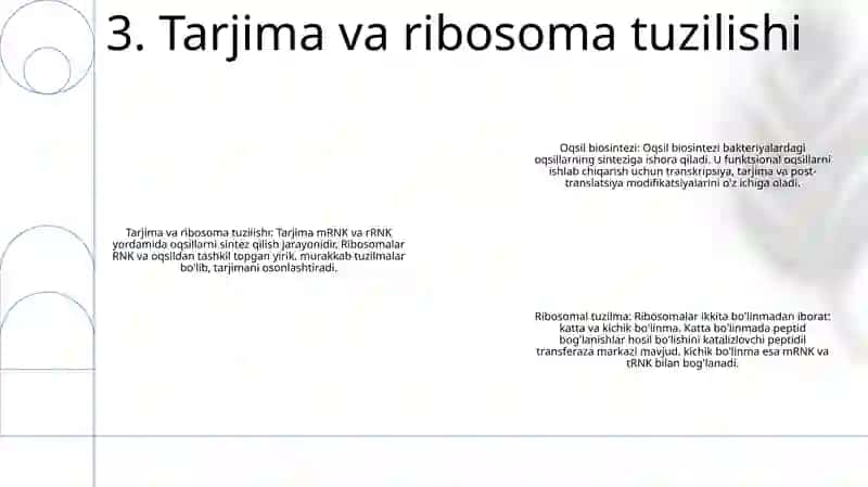 Oqsil Biosintezi 4