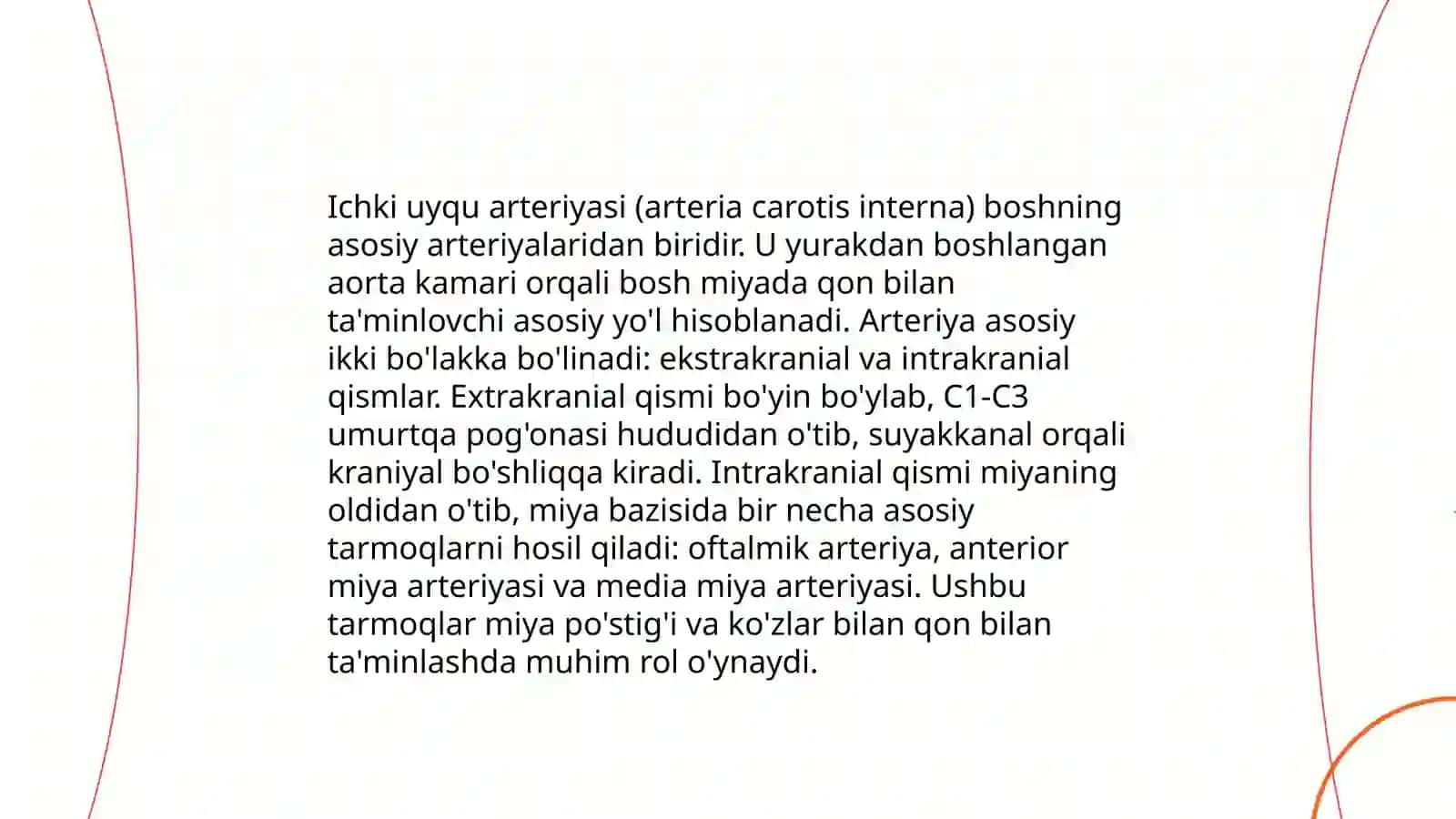 Tashqi uyqu va ichki uyqu arteriyasi anatomiyasi haqida 4