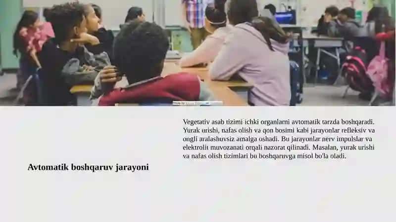 Vegetativ asab tizimining fiziologiyasi 4
