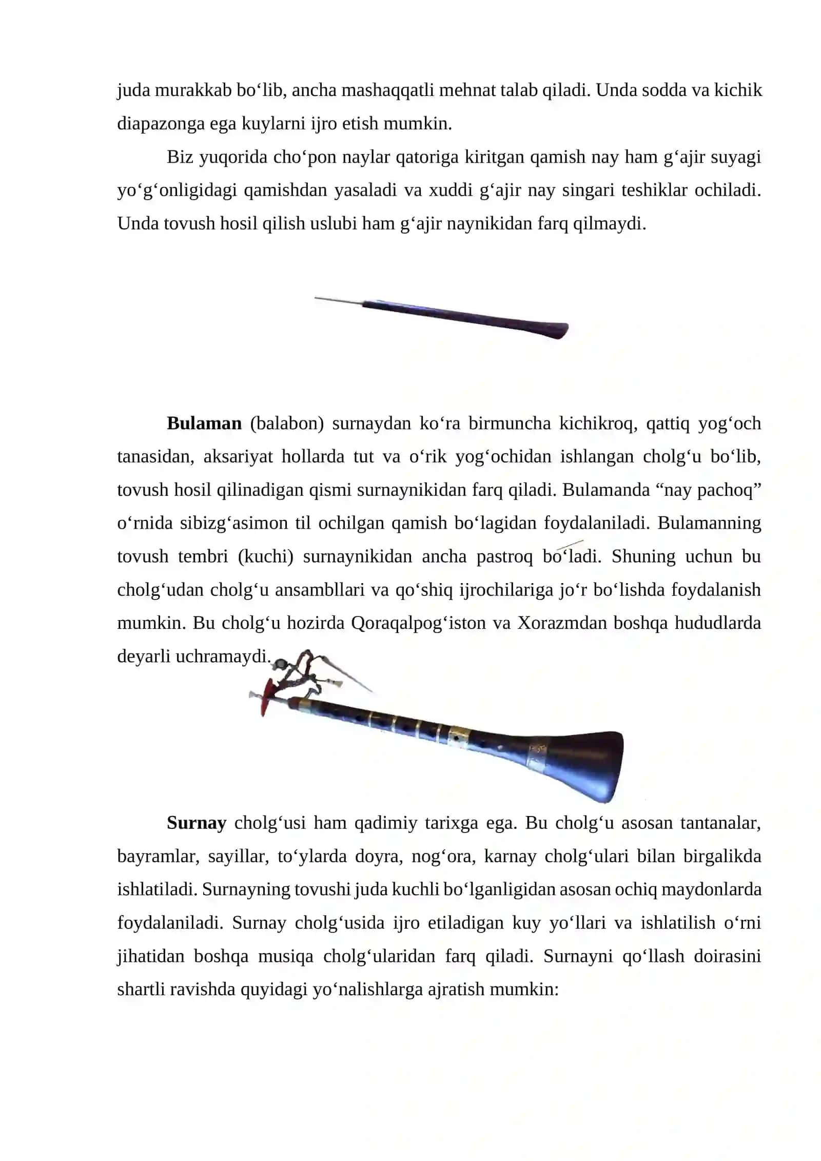 Noyob musiqiy cholg‘ularining ta’rifi 4