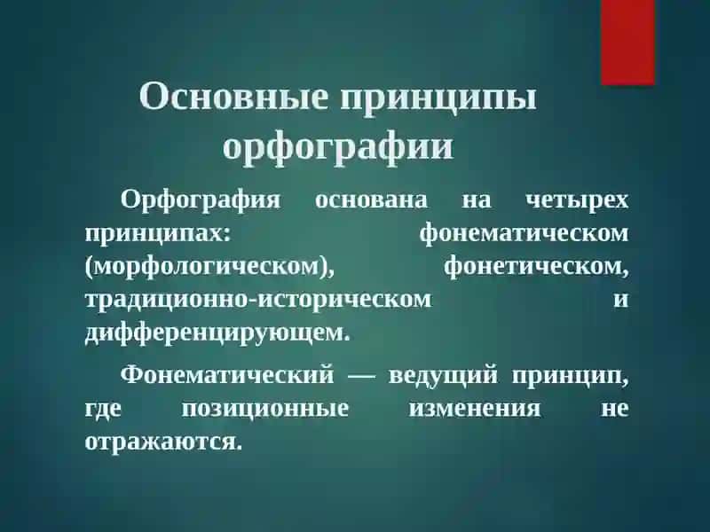 Стилистика орфографические нормы 4