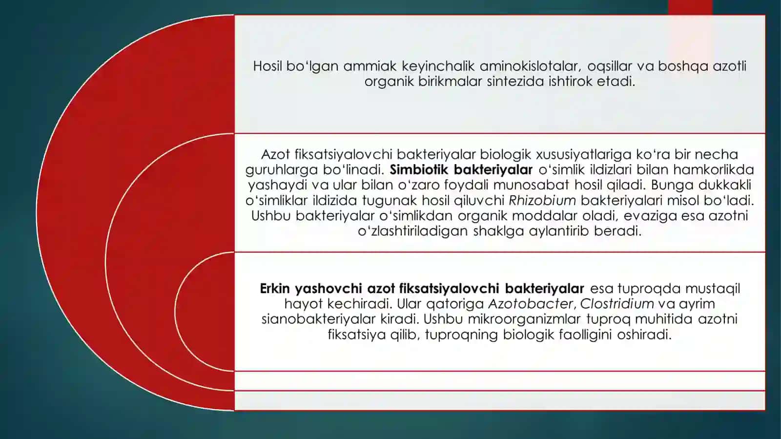 Azot fiksatsiyalovchi bakteriyalarning ekologik ahamiyati 4