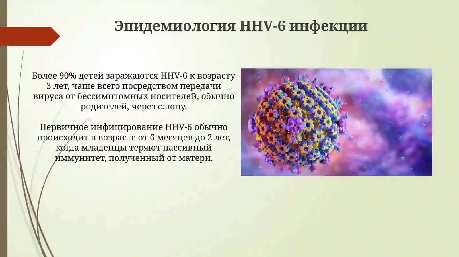 HHV-6 Инфекция 4