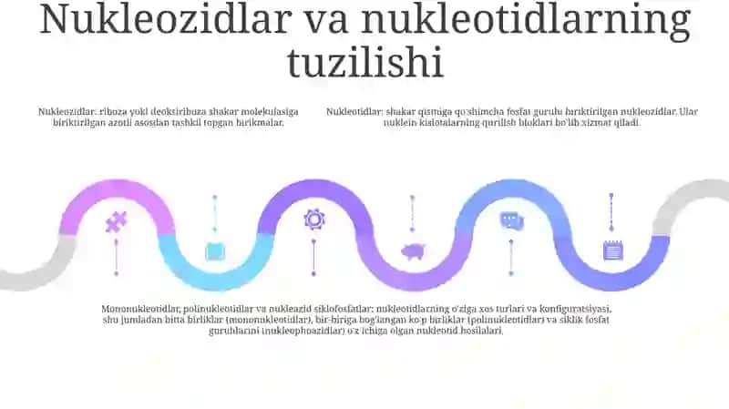 Nukleozid Nukleotid Nukleozidlarning Mona Va Polifosfatlari Nukleazid Siklofasfatlar 4