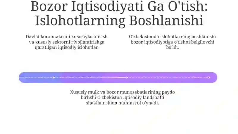 Iqtisodiy Islohotlar va Bozor Iqtisodiyotiga O'tish 4