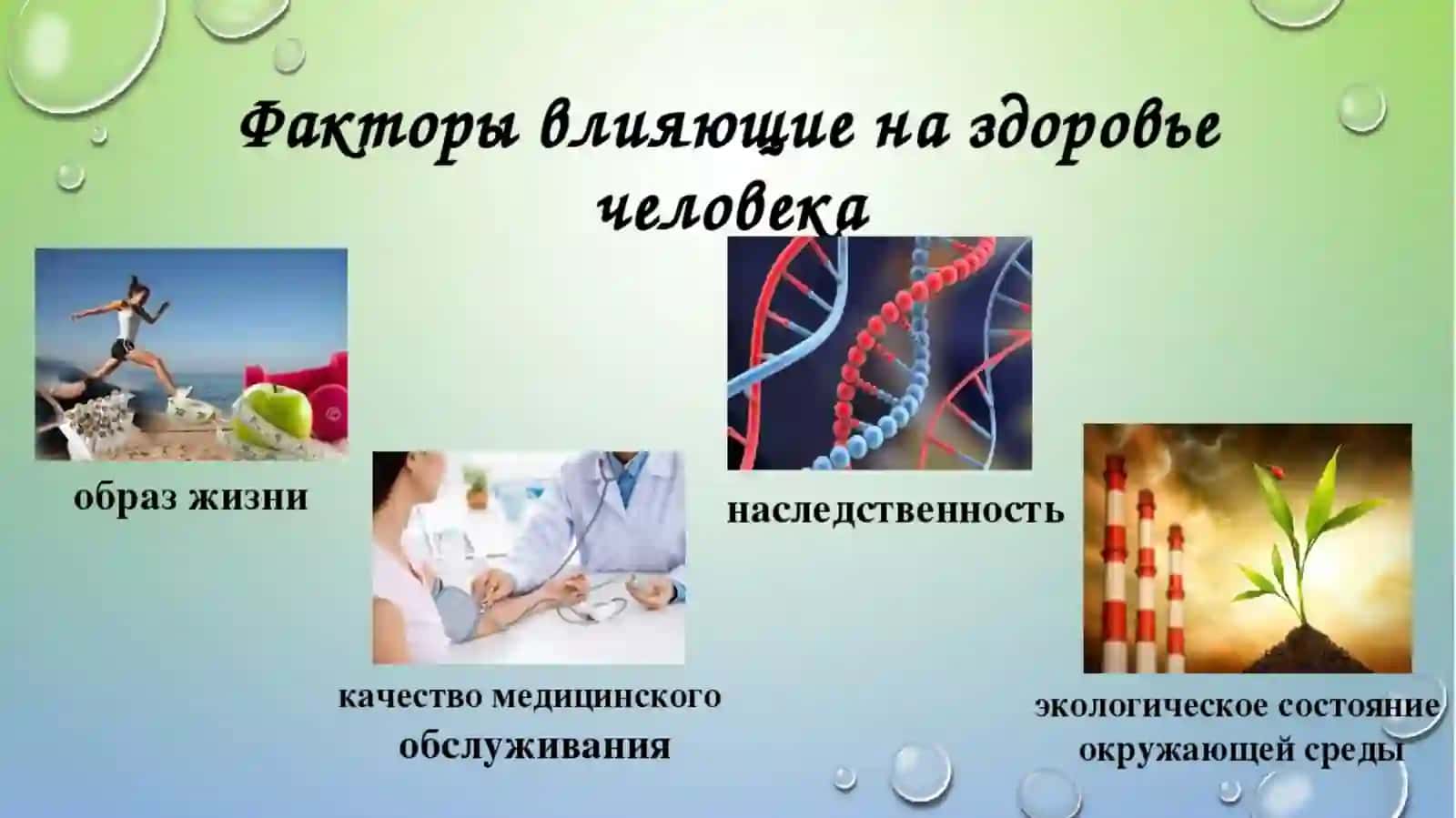 Зависимость здоровья человека от окружающей среды 4