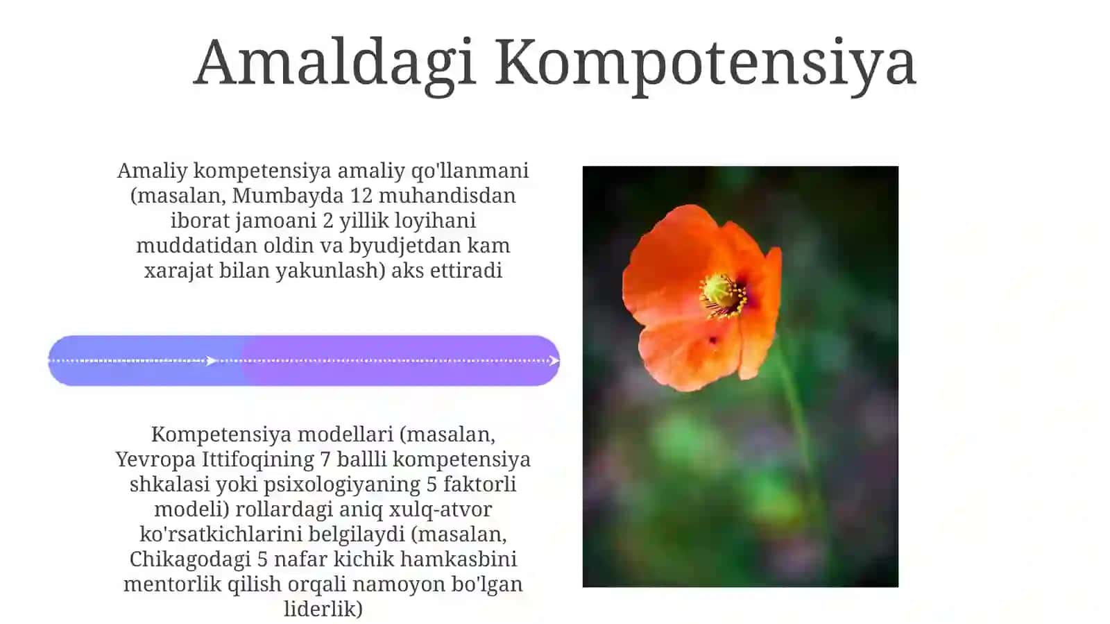 Kompetensiyavakompetentliktushunchalariningmohiyati 4