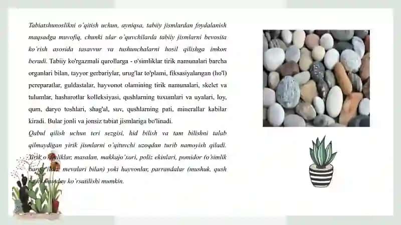Tabiatshunoslik FANIDAN MAVZULAR BO’YICHA TABIIY MATERIALLARDAN KO’RGAZMALI QUROLLAR TAYYORLASH 4