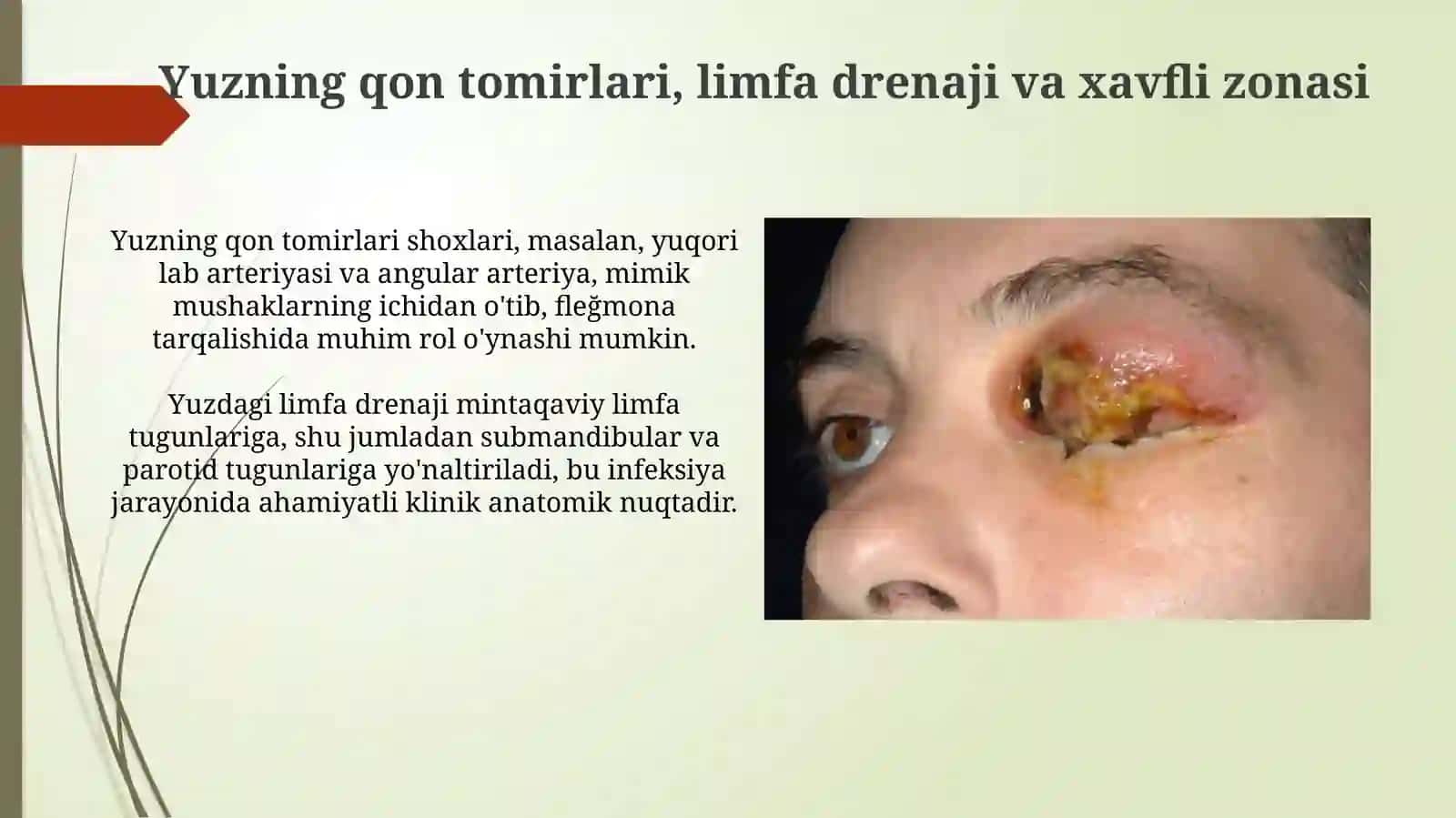 Yuzning yuza flegmonalarining ochish hamda drenejlashning klinik anatomik asoslari 4