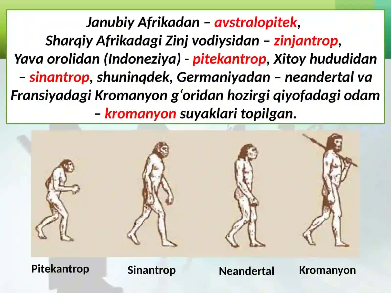 6-sinf Tarix fanidan darsligi asosida 2-mavzu 4