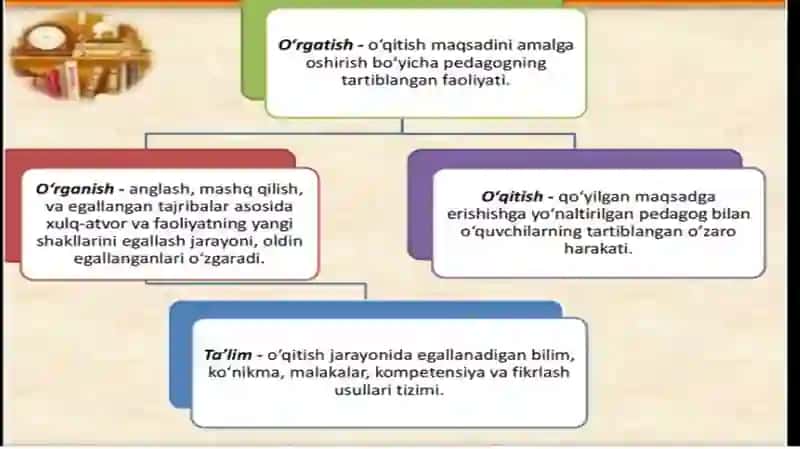 Didaktik nazariyalar va ta'lim paradigmalari 4