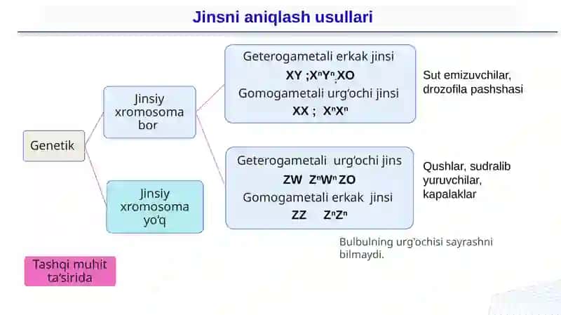 Jins genetikasi 4