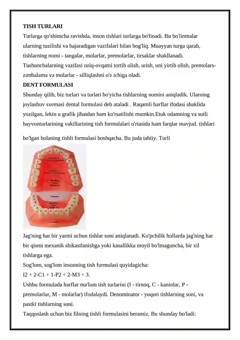 Tishlar hayotchanligini saqlash uslublari 4