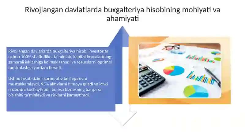 Rivojlangan Davlatlarda Buxgalteriya Hisobining Tashkiliy Va Vazifalari 4