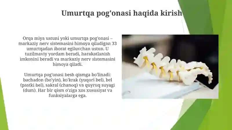 Umurtqa pag'onasi, bolimlari va kasalliklari 4