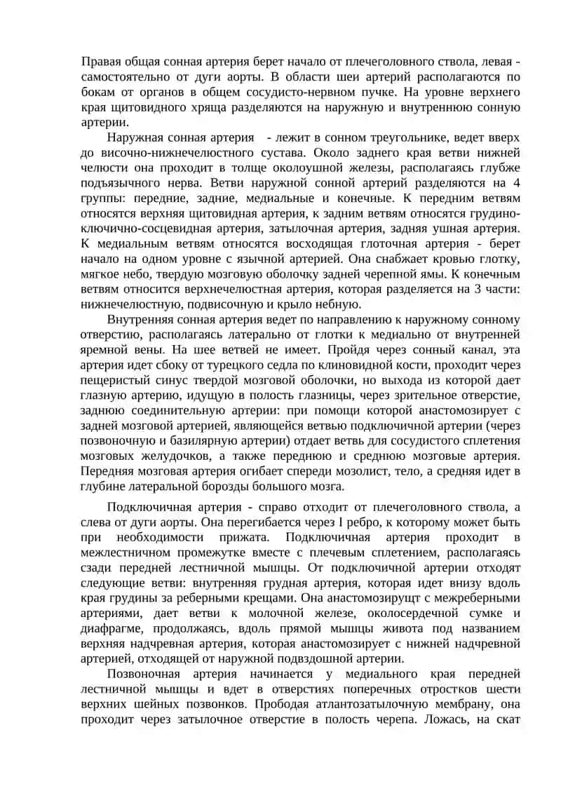 Сосуды малого круга кровообращения 4