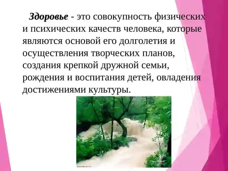 Факторы, влияюшие на здоровье человека 4