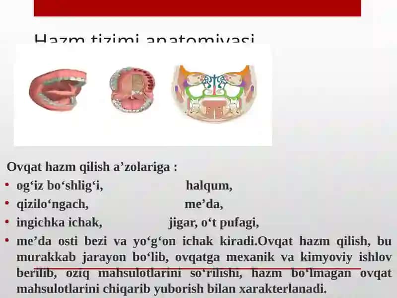 NamDUTibbiyotfakulteti Klinikfanlari kafedrasi Tibbiyot kasbi ga kirish 4