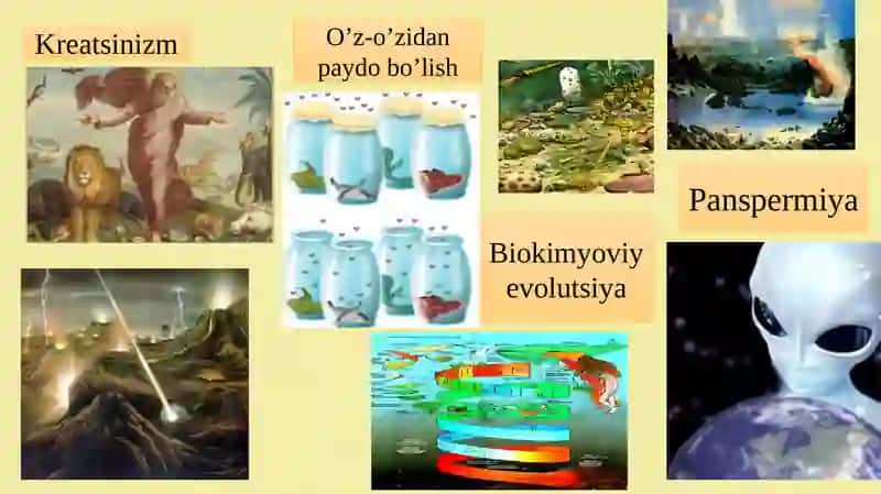 Evolyutsion jarayonlar va ularning umumiy qonuniyatlari. Antropogenez 4