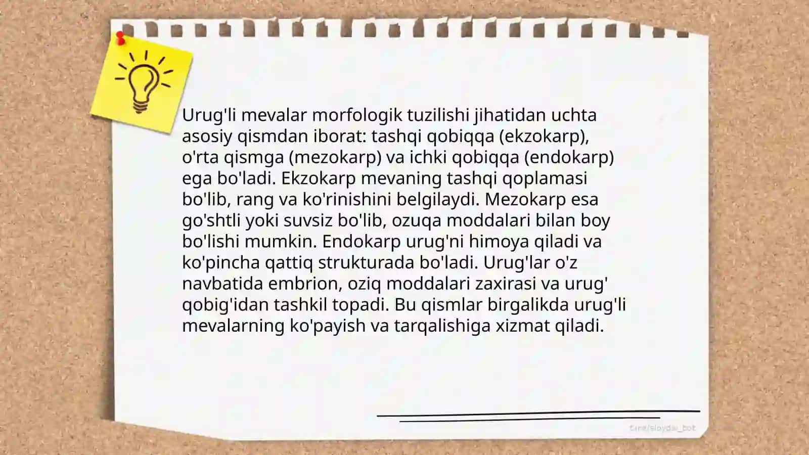Yong’oq morfologiyasi, rivojlanishi 4