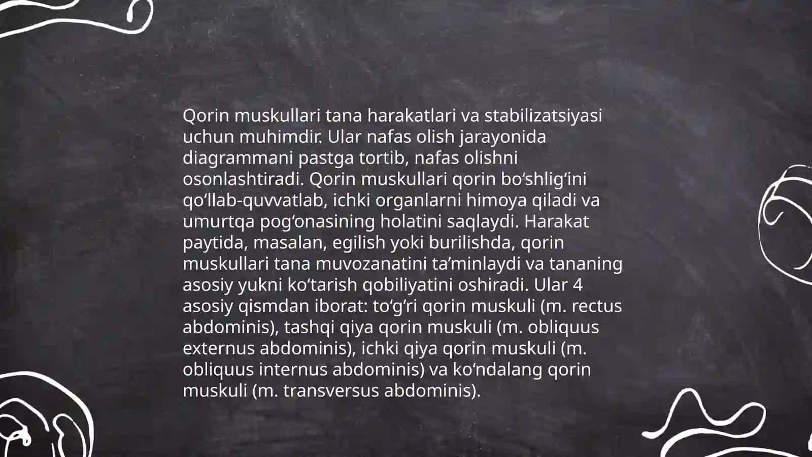 Kokrak qorin muskullari tuzilishi funkisiyasi 4