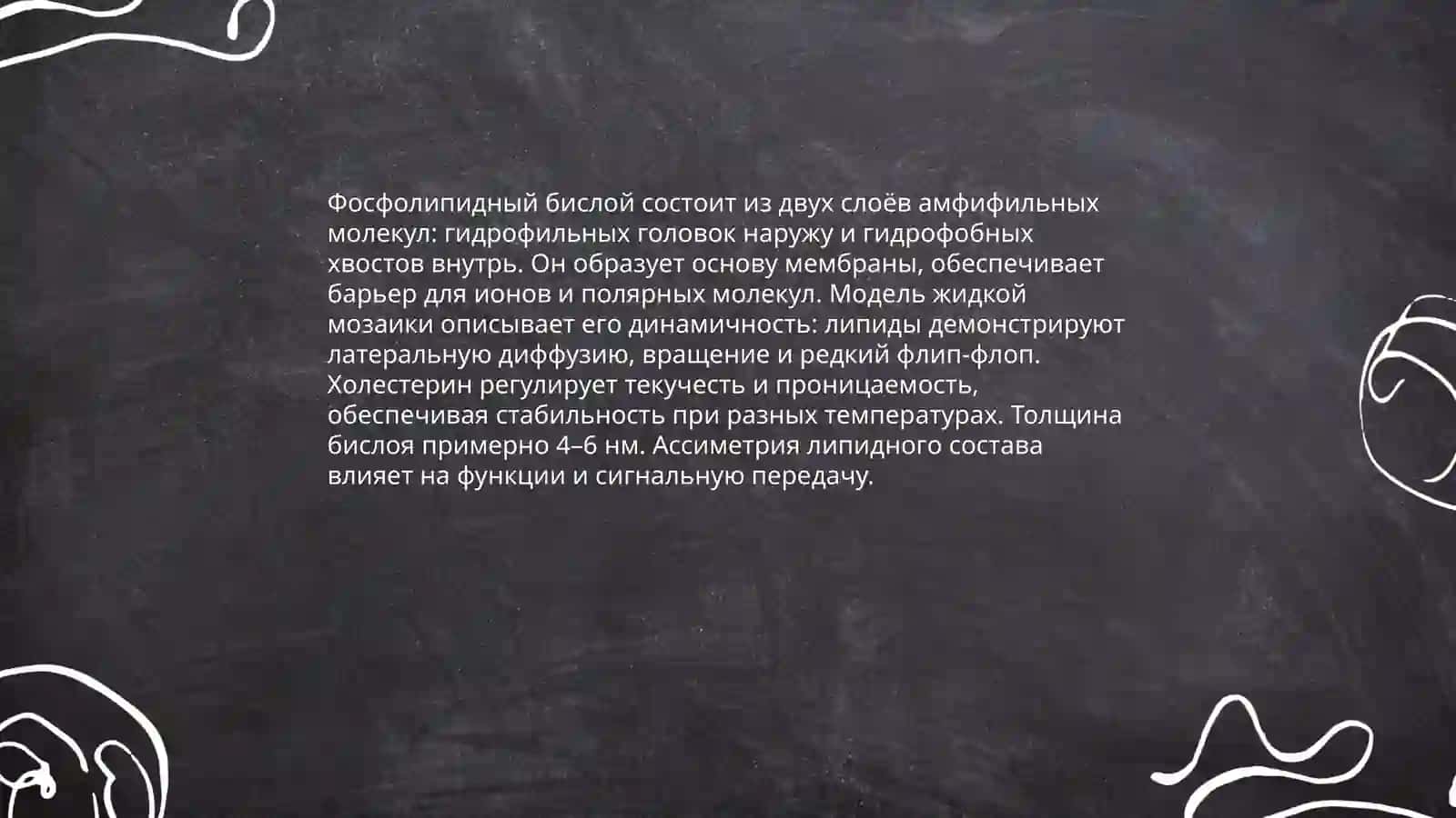 Клеточная мембрана биология 4