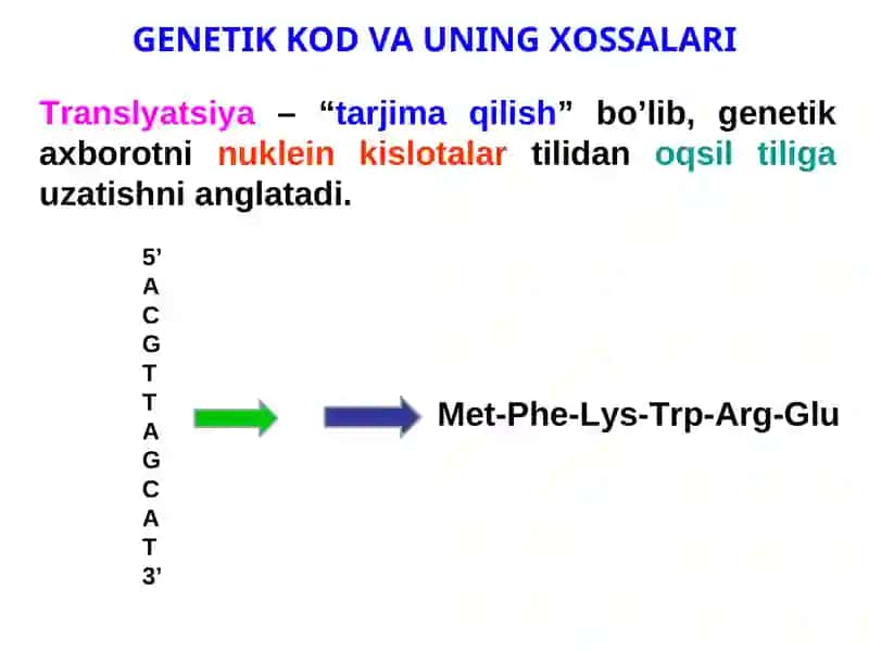 GENETIK KOD VA UNING XOSSALARI 4