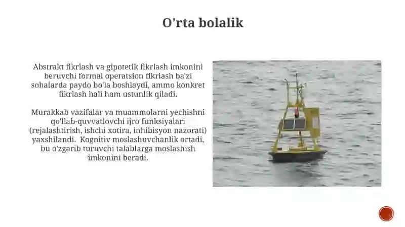 Neyrokognetov taraqqiyotlari va kovnetiv taraqqiyotlarining bosqichlari 4