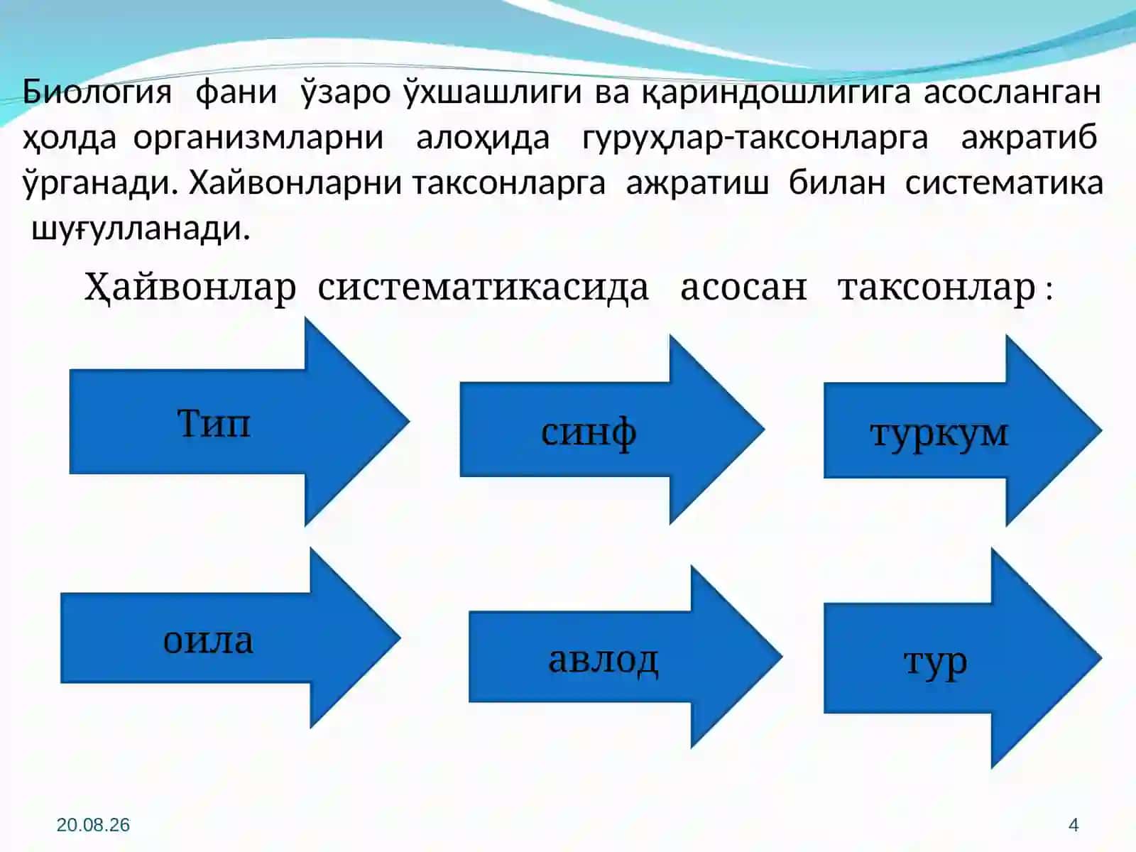 Ma’ruza: Umurtqasizlar bilan tanishuv 4