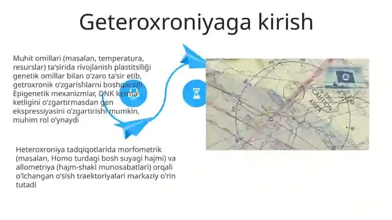 Geteroxroniya va Sun'iy tanlanish 4