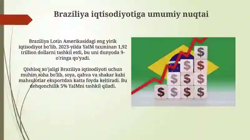 Braziliya va mintaqaviy iqtisodiy rivojlanish 4