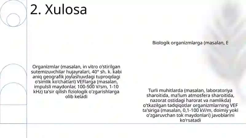 Tajriba O'rnatmasi 4