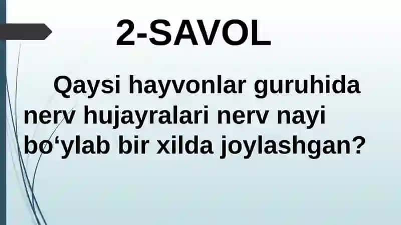 HAYVONLARNING TANA QOPLAMLARI VA HARAKAT ORGANLARI EVOLUTSIYASI 4