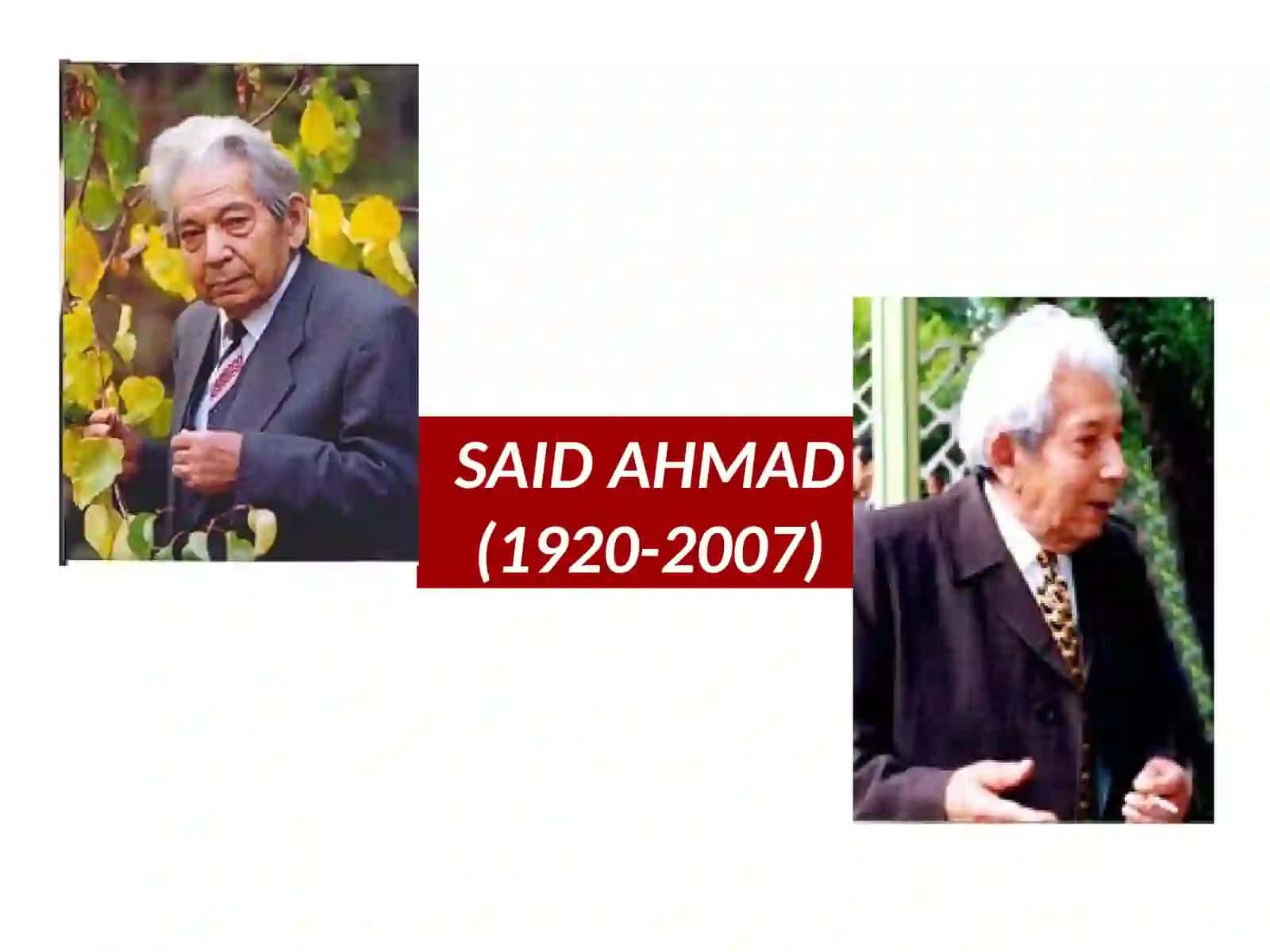 Said Ahmad Hayoti va Ijodi, Qorako'z Majnun 4