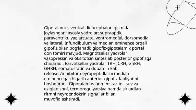 Neyroendokring tizimining struktur funksional tavsifi 4