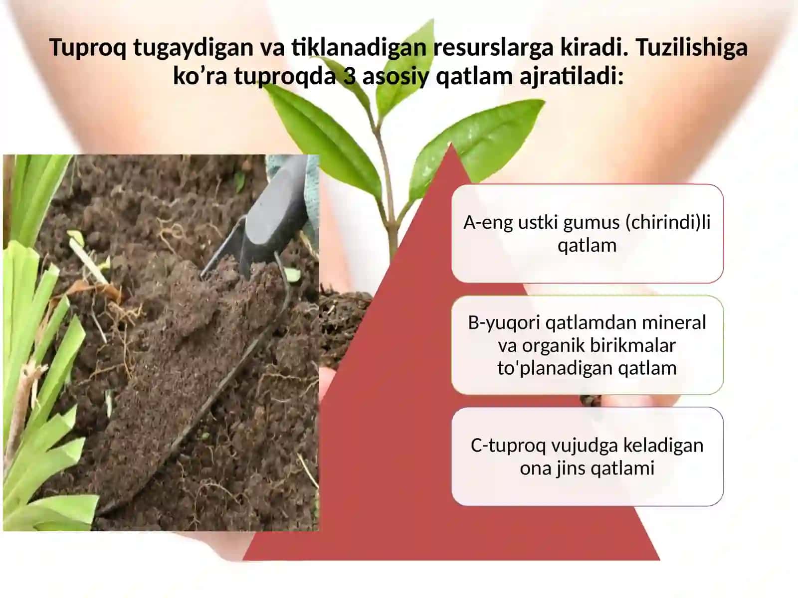 AGROKIMYO VA AGROTUPROQSHUNOSLIK 4