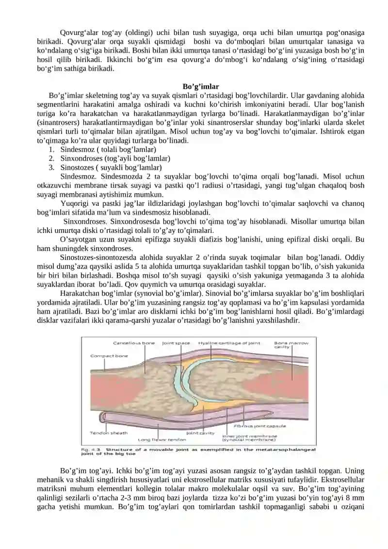 TAYANCH – HARAKAT APPARATINING KASALLIKLARI MASSAJ. 4
