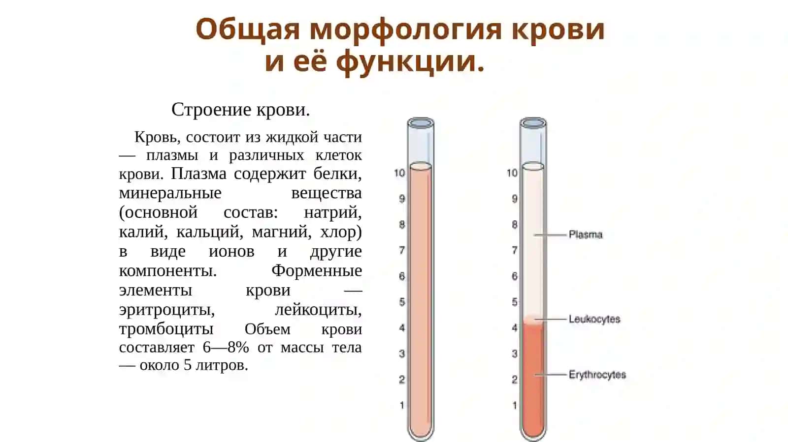 ҚОН ПЛАЗМАСИ ВА ШАКЛЛИ ЭЛЕМЕНТЛАРИ 4