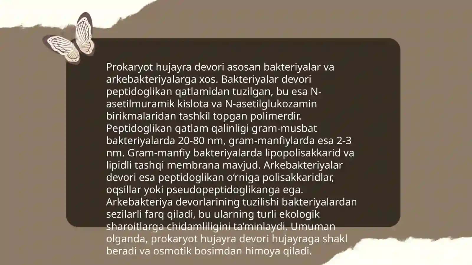Prokariotlar morfologiyasi va hujayra tuzilishi Mukroorganizmlarni koʻpayishi va oʻsishi 4